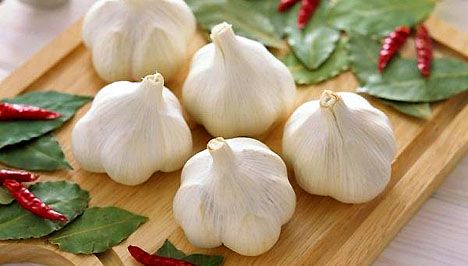 Fokhagyma: természetes antibiotikum és gyulladáscsökkentő